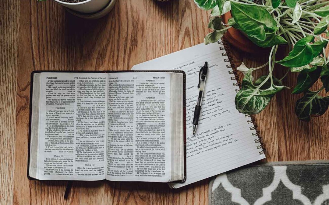 How to Apply the Bible to Your Life