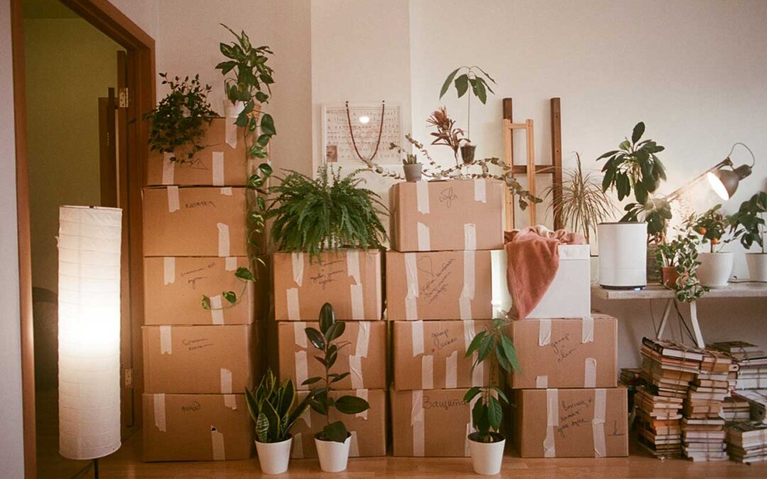 Finding Stability During Big Life Changes