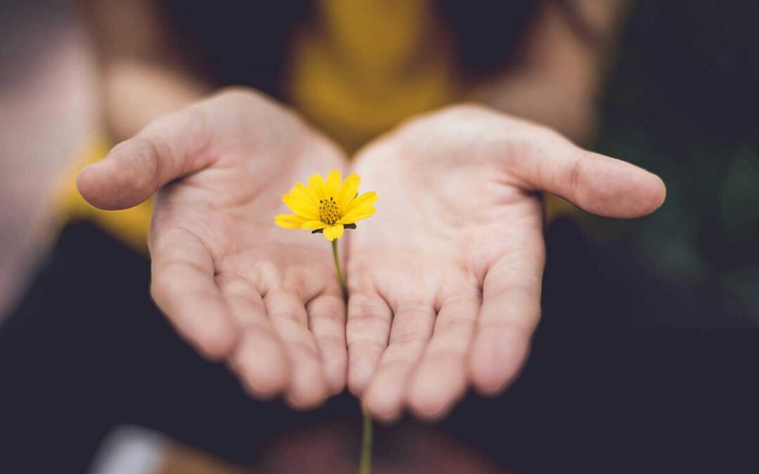 Biblical Hope in Grief: Comfort When You’ve Lost Someone