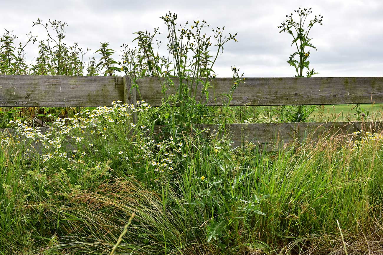 how-to-help-someone-suicidal