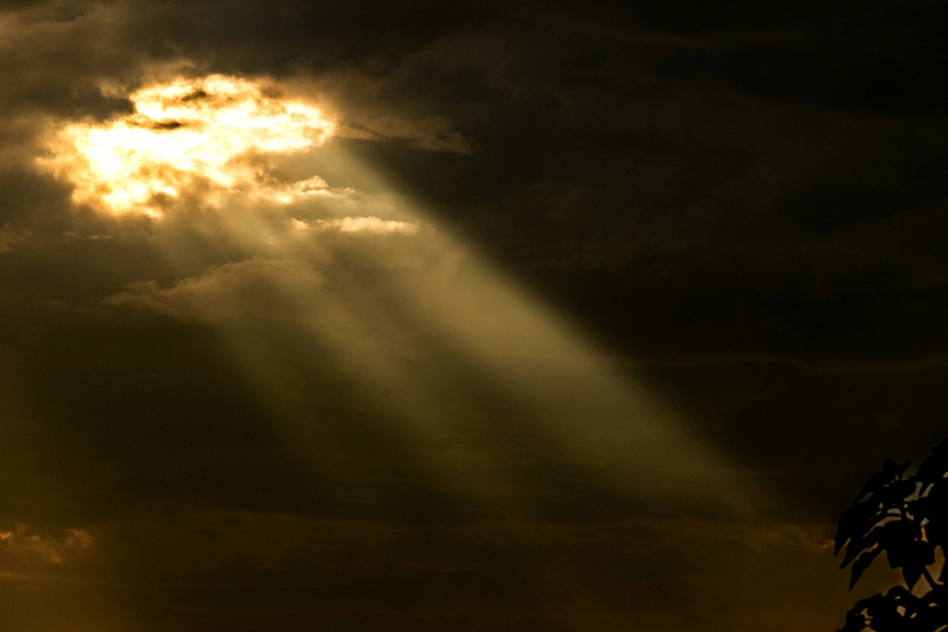 Rays of light breaking through clouds, picturing heaven's throne room in Revelation 4 and 5